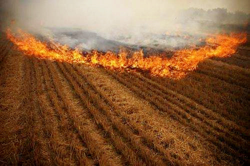 熊良虎赴京考察德国迪芬巴赫公司、、、ESATPOINT GLOBAL公司生态环保板材装备工艺