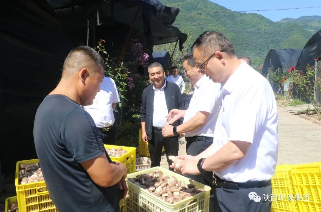 郝军亮到太白县调研墟落振兴驻村帮扶事情