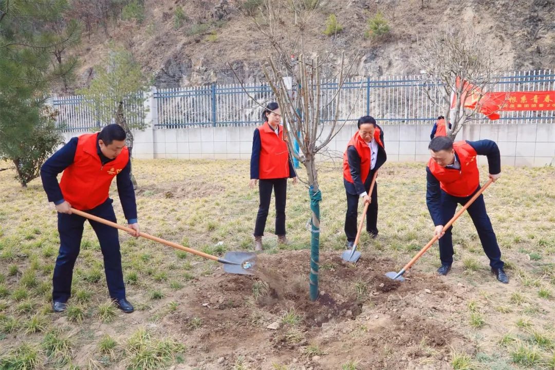 根系青春·植此青绿｜永利集团官网集团团委开展义务植树自愿活动